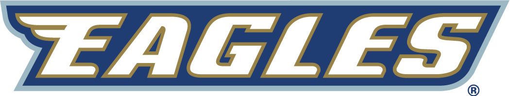 Georgia Southern Eagles 2004-Pres Wordmark Logo iron on transfers for clothing